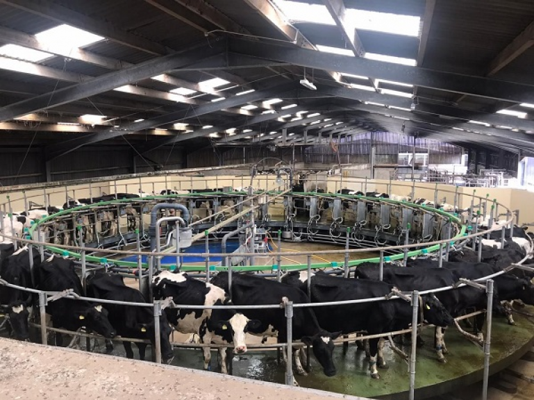 Agricultural Attaché Derbenskiy visits British farm in county Cornwall