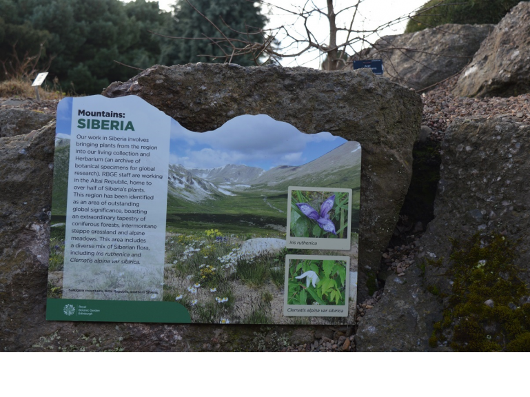 Plant Diplomacy: Opening of Siberian Section of Royal Botanic Garden