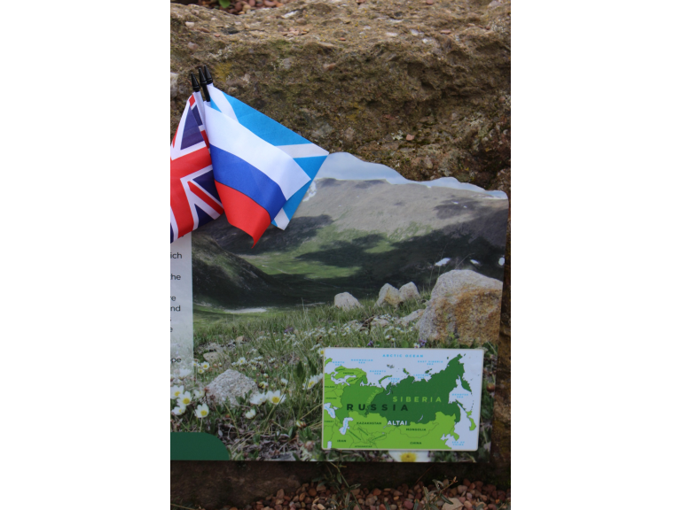 Plant Diplomacy: Opening of Siberian Section of Royal Botanic Garden